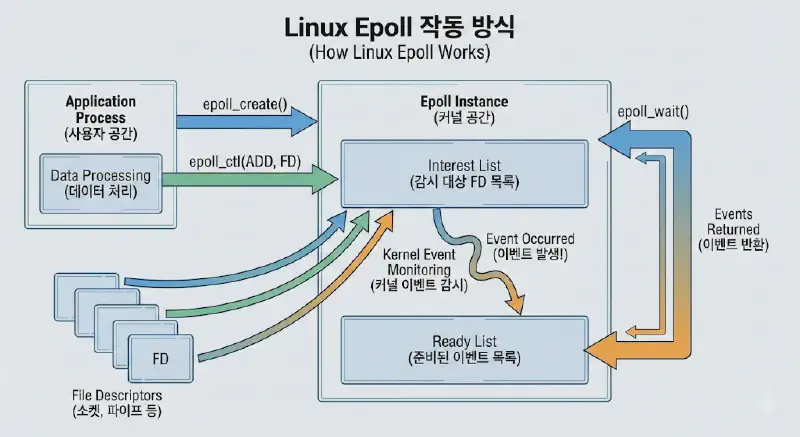 Linux Epoll 작동 방식